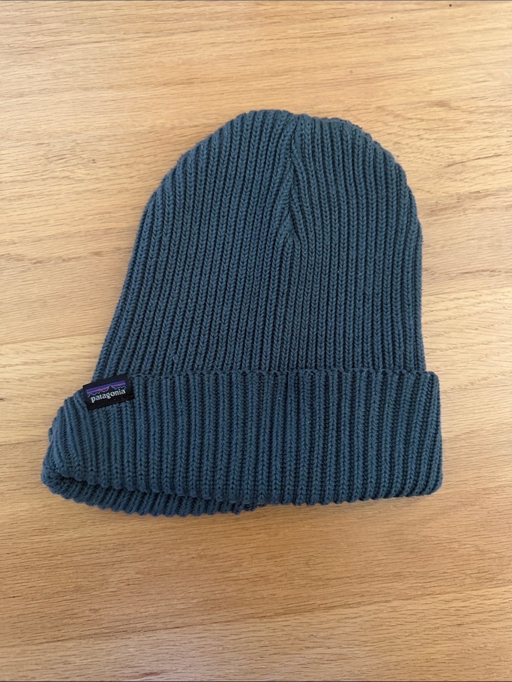 Patagonia Ribbed Beanie - Teal Green